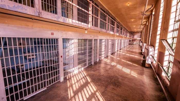 indianorigin brothers guilty in h1b visa fraud case